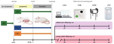 Maternal monosaccharide diets evoke cognitive, locomotor, and emotional disturbances in adolescent and young adult offspring rats
